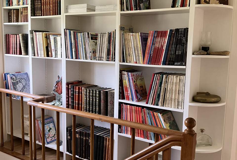 Refined Family Residence with Parkland and Pool in the Loire Valley - Loches, France