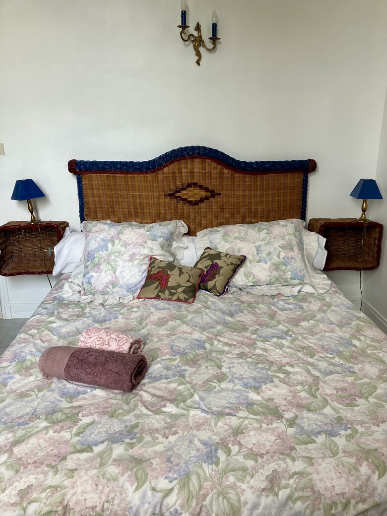 Refined Family Residence with Parkland and Pool in the Loire Valley - Loches, France