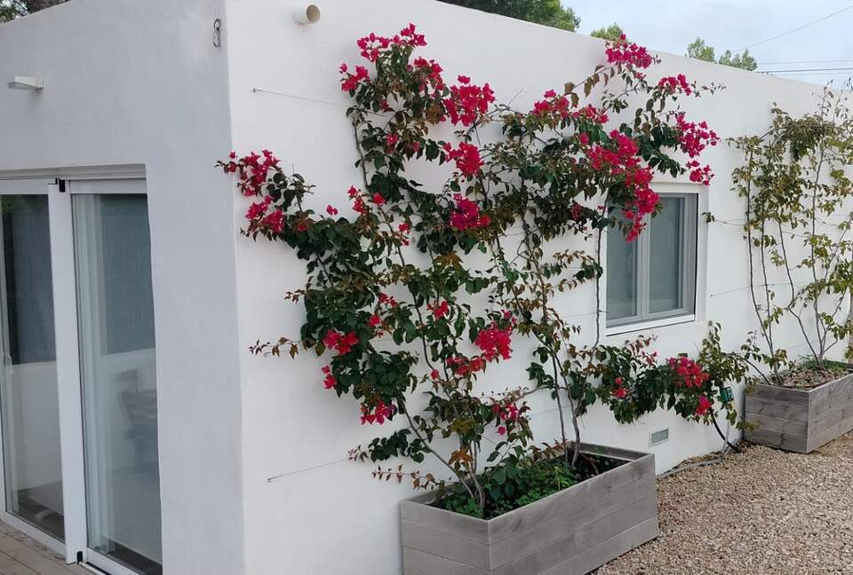 Design Coastal Villa Surrounded by Formentera’s Natural Beauty - Formentera, Spain