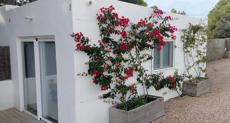 Design Coastal Villa Surrounded by Formentera’s Natural Beauty - Formentera, Spain