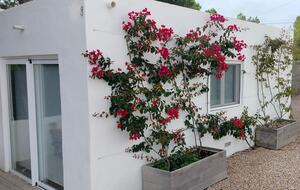 Design Coastal Villa Surrounded by Formentera’s Natural Beauty - Formentera, Spain