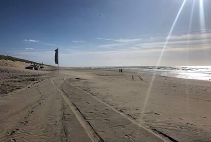 Family Villa Amidst the Woodlands of Bentveld - Bentveld, Netherlands