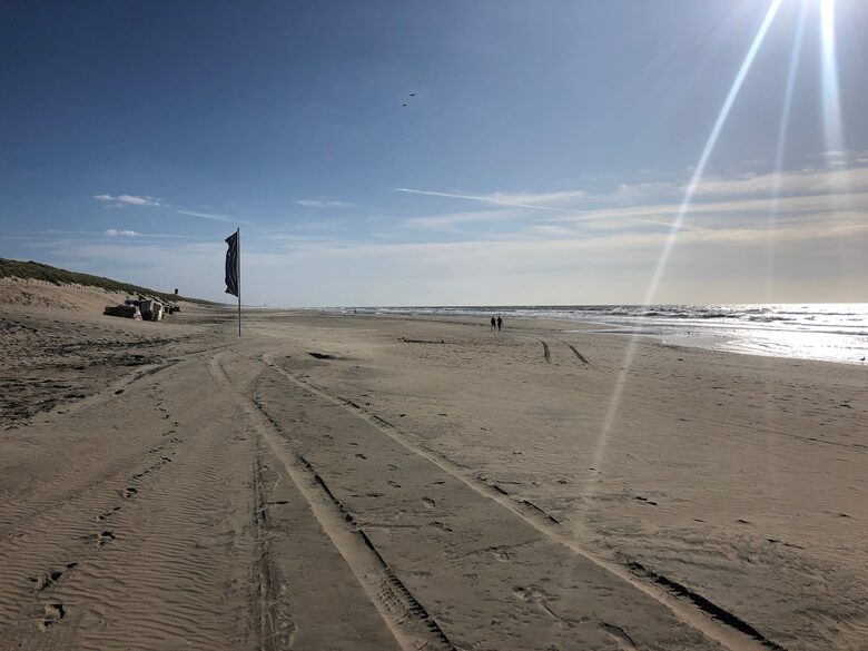 Family Villa Amidst the Woodlands of Bentveld - Bentveld, Netherlands