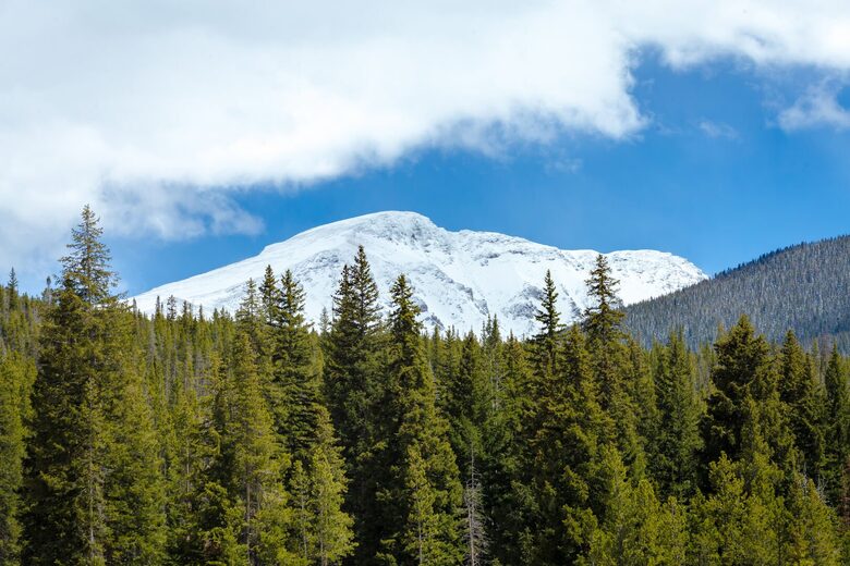 Luxury Villa with Hot Tub & Mountain Views near Winter Park Resort - Winter Park, Colorado
