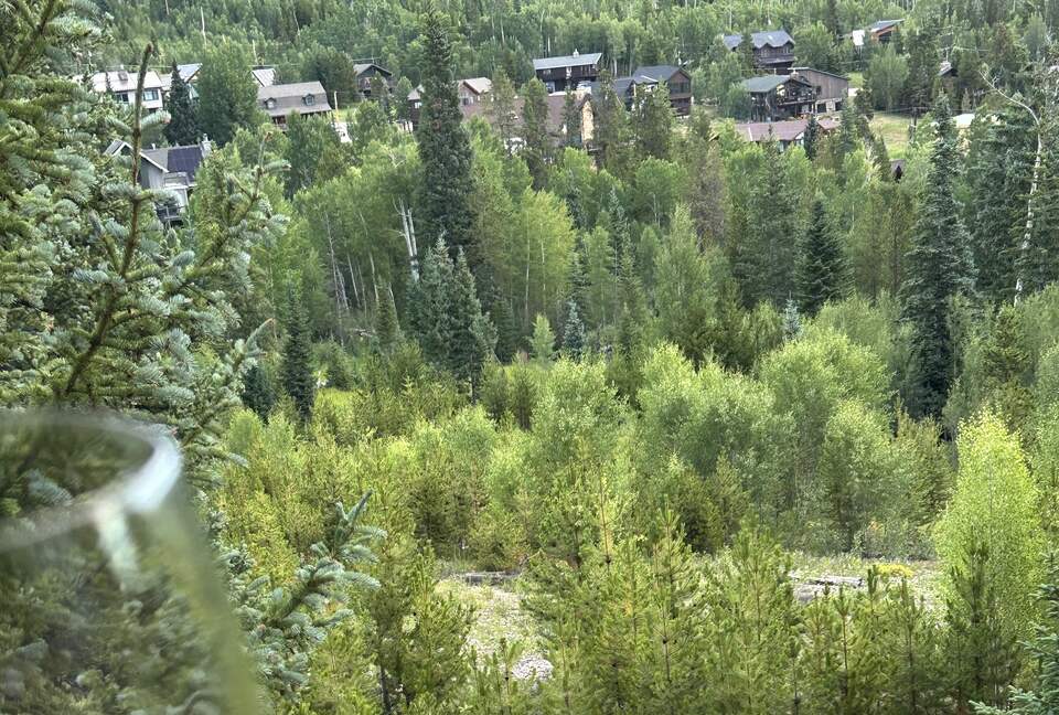 Local fauna directly off the deck