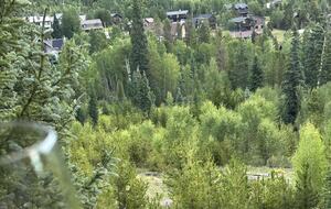 Local fauna directly off the deck