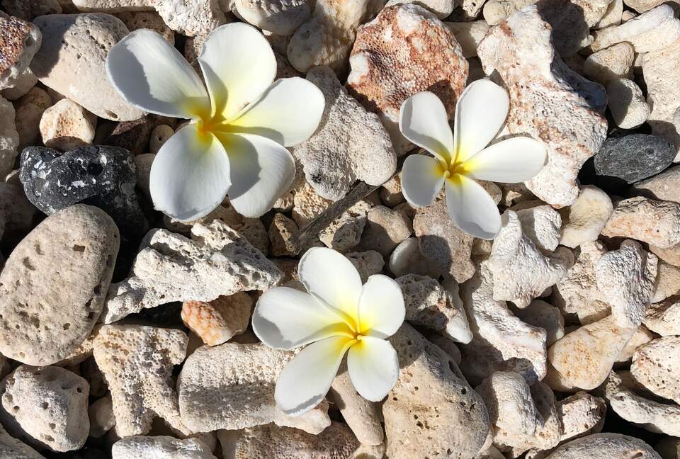 Upscale Maui Oasis Steps from Keawakapu Beach - Kihei, Hawaii