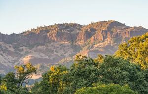 Wine Country Retreat in Calistoga - Calistoga, California