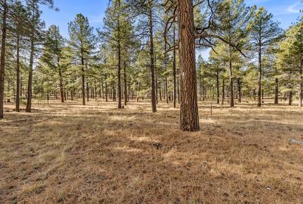 Kachina Village Retreat with Trail Access - Flagstaff, Arizona