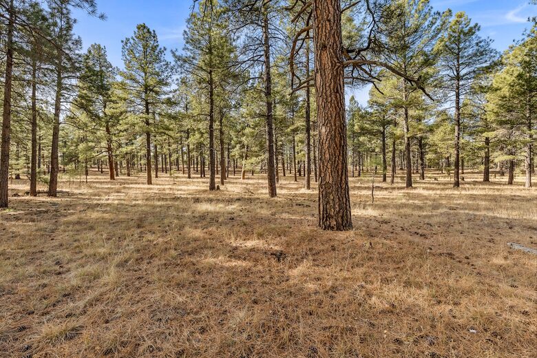 Kachina Village Retreat with Trail Access - Flagstaff, Arizona
