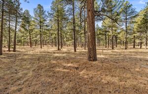 Kachina Village Retreat with Trail Access - Flagstaff, Arizona