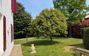 Inviting Apartment within a Allegra Villa Setting - Noventa Padovana, Italy