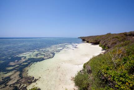 Beach below the clifftop