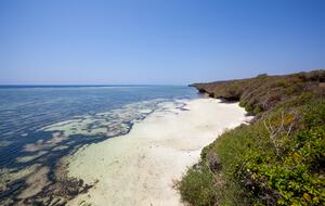 Beach below the clifftop