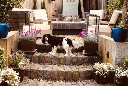 Victorian Elegance Meets Modern Design in SF - San Francisco, California