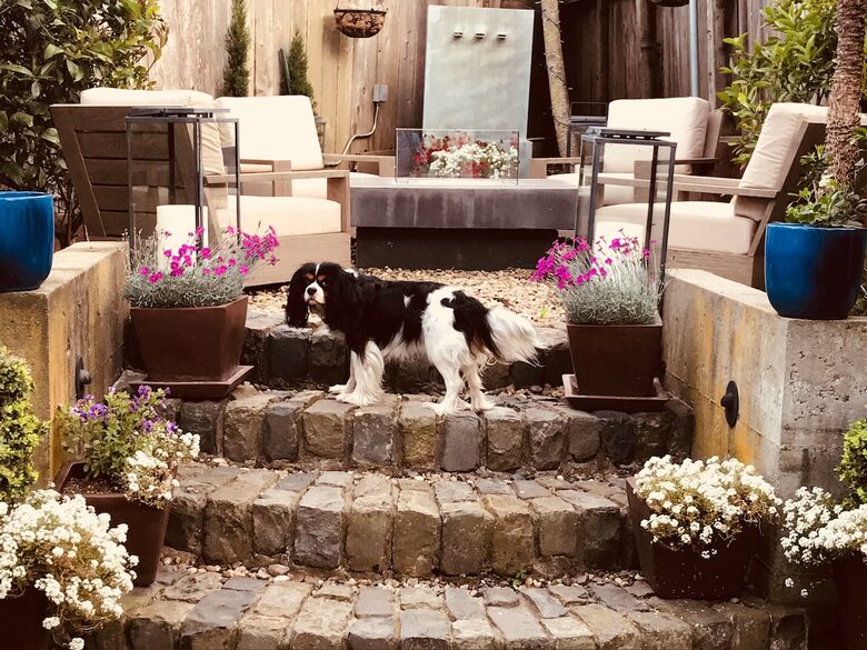 Victorian Elegance Meets Modern Design in SF - San Francisco, California