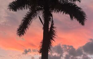 Spacious Marco Island Retreat Steps from Beaches & Shops - Marco Island, Florida