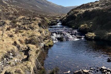Highland Charm on the Black Water River - Highland, United Kingdom