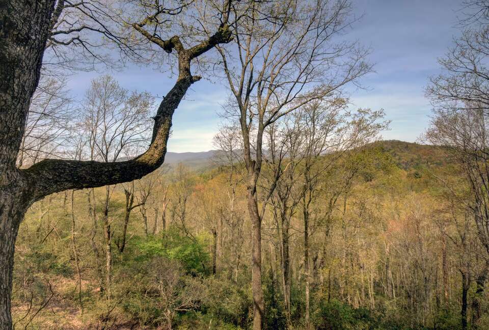 Sky Valley Mountain Retreat with Amenities - Sky Valley, Georgia