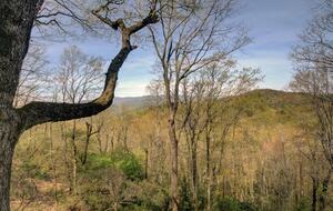Sky Valley Mountain Retreat with Amenities - Sky Valley, Georgia