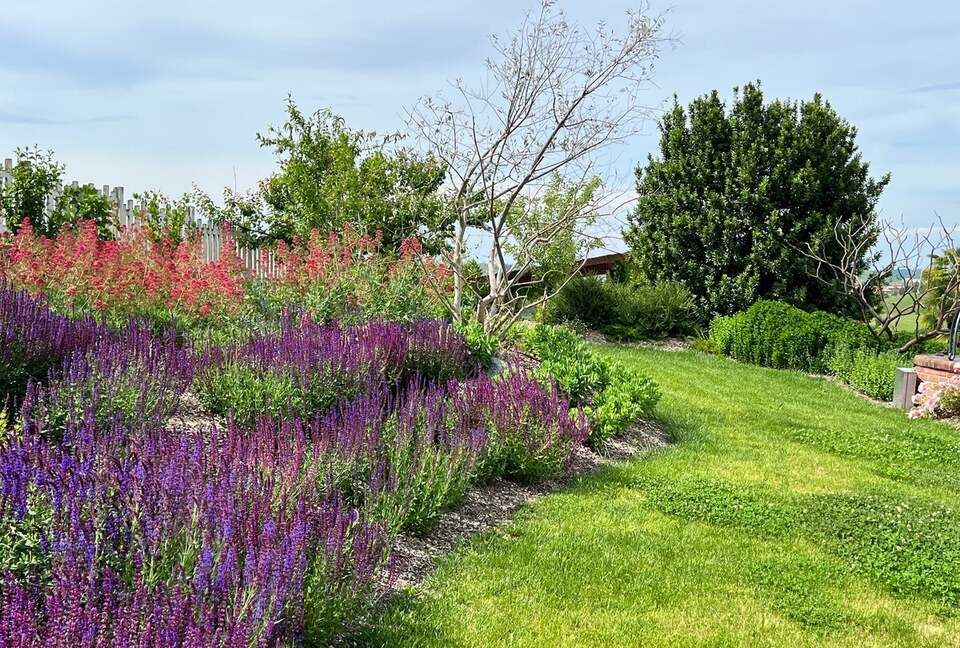 Elegant Italian Retreat Surrounded by Vineyards - Piana del Salto, Italy