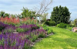 Elegant Italian Retreat Surrounded by Vineyards - Piana del Salto, Italy