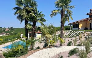 Elegant Italian Retreat Surrounded by Vineyards - Piana del Salto, Italy