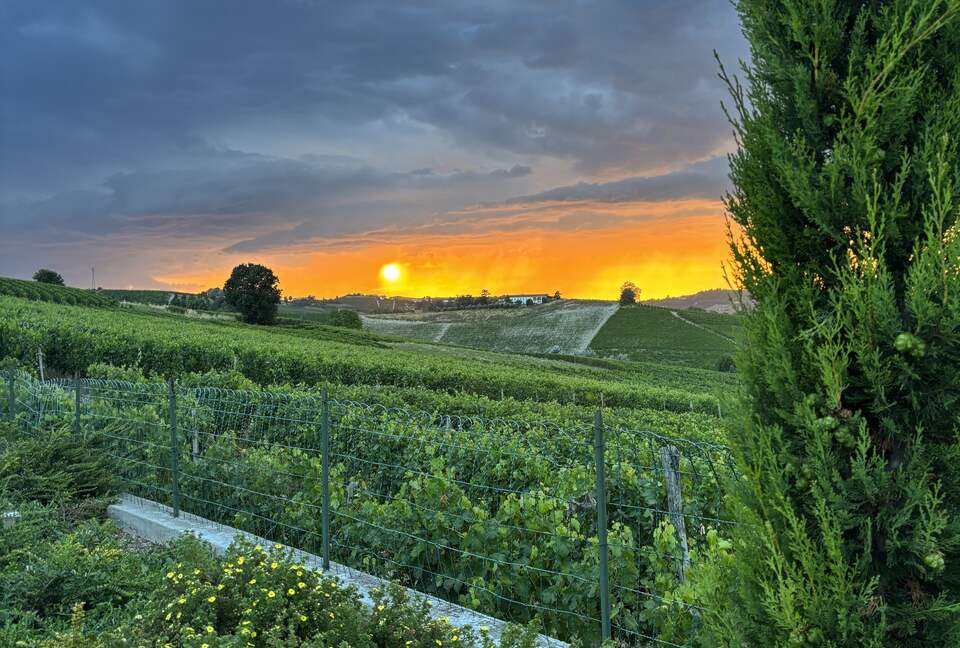 Elegant Italian Retreat Surrounded by Vineyards - Piana del Salto, Italy