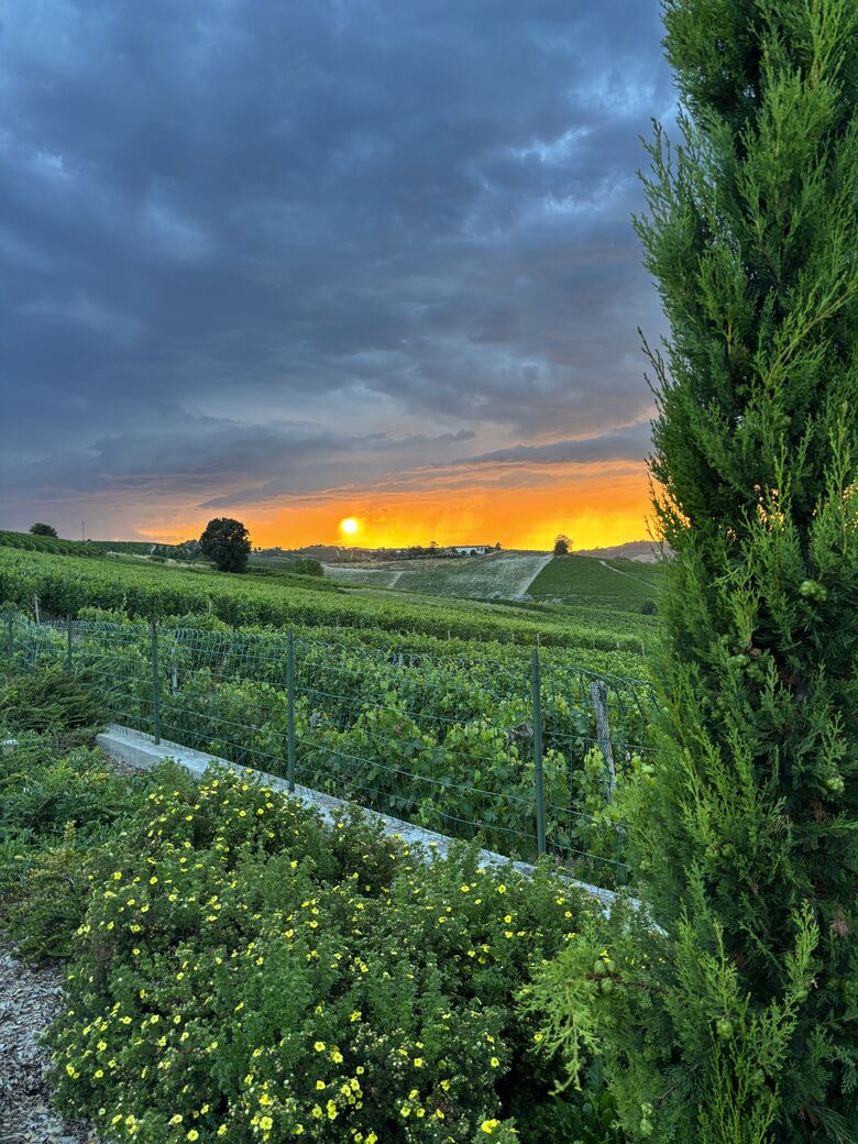 Elegant Italian Retreat Surrounded by Vineyards - Piana del Salto, Italy