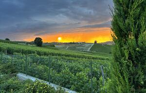 Elegant Italian Retreat Surrounded by Vineyards - Piana del Salto, Italy