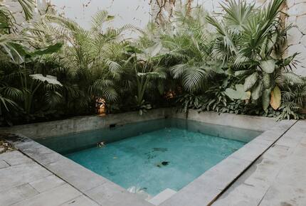 Elegant Jungle Apartment with Private Pool - Tulum, Mexico