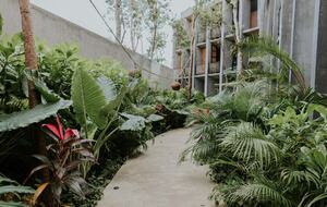 Elegant Jungle Apartment with Private Pool - Tulum, Mexico