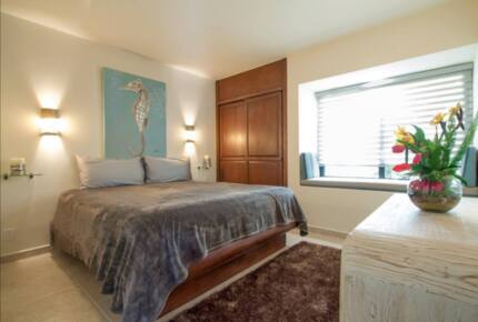 Oceanfront Horizon Escape - Cabo San Lucas, Mexico