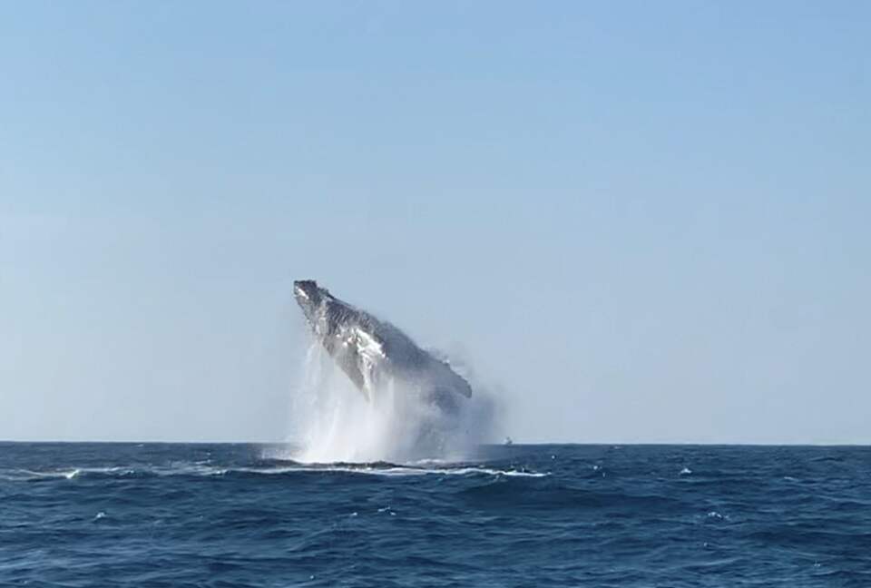 Punta Mita Oceanfront Bliss - Punta Mita, Mexico