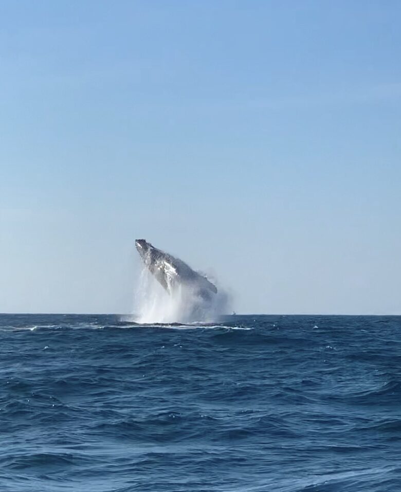 Punta Mita Oceanfront Bliss - Punta Mita, Mexico
