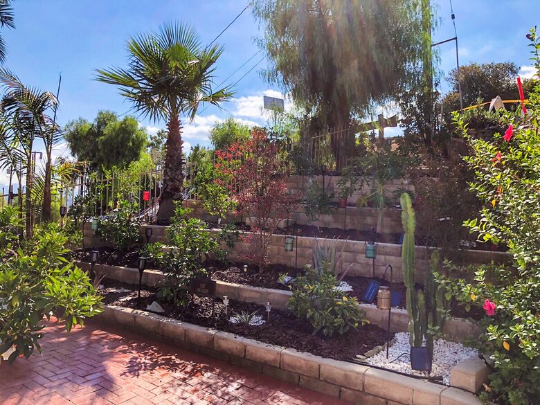 Smart Home Retreat Surrounded by Box Canyon Beauty - Los Angeles County, California