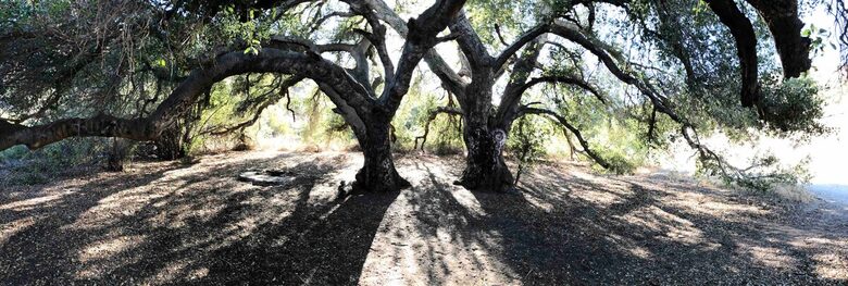 Smart Home Retreat Surrounded by Box Canyon Beauty - Los Angeles County, California