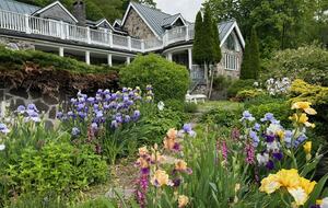 Hudson Valley Luxury Retreat in Woodstock - Woodstock, New York