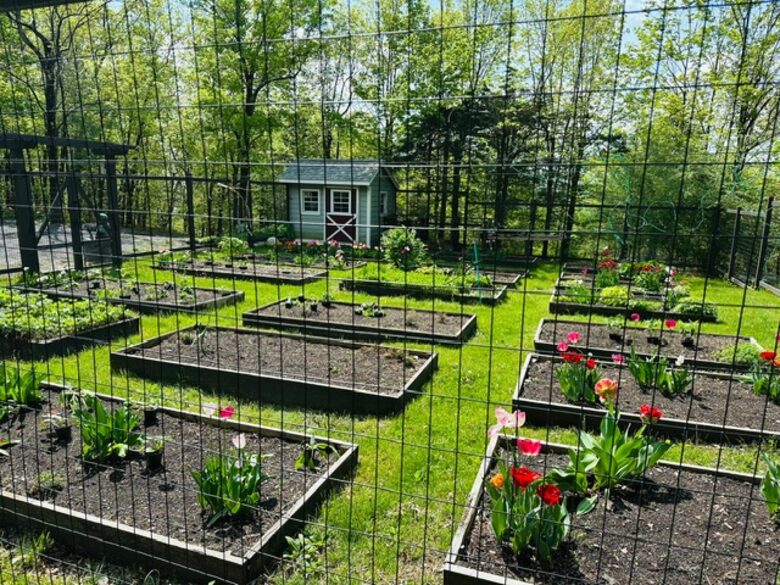Easter's First Blooms at the Estate and Late April Exclusive Tulip Extravaganza - Woodstock, New York