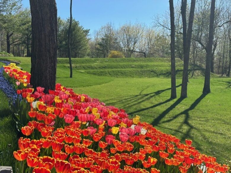 Easter's First Blooms at the Estate and Late April Exclusive Tulip Extravaganza - Woodstock, New York