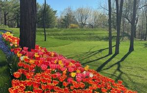 Hudson Valley Luxury Retreat in Woodstock - Woodstock, New York