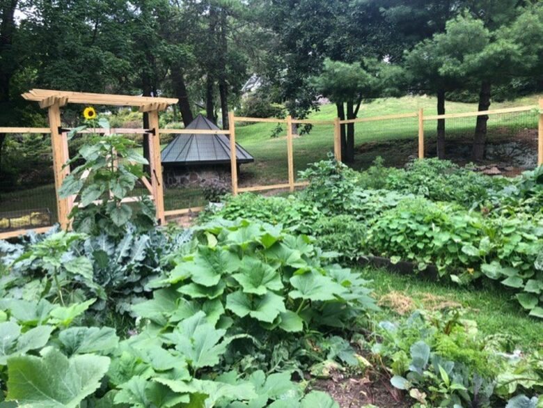 Easter's First Blooms at the Estate and Late April Exclusive Tulip Extravaganza - Woodstock, New York