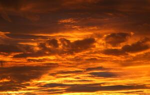 Group Getaway with Firepit & BBQ on Lake Tinaroo - Barrine, Australia