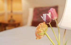 Hudson Valley Luxury Retreat in Woodstock - Woodstock, New York