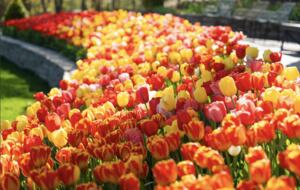 Hudson Valley Luxury Retreat in Woodstock - Woodstock, New York