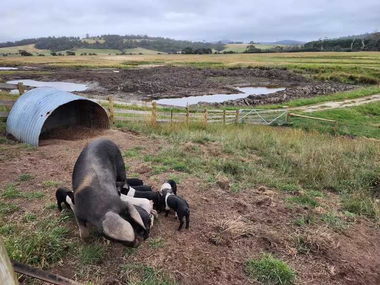 Historic Farmhouse Retreat in St. Helens - St Helens, Australia