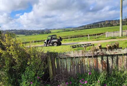 Historic Farmhouse Retreat in St. Helens - St Helens, Australia