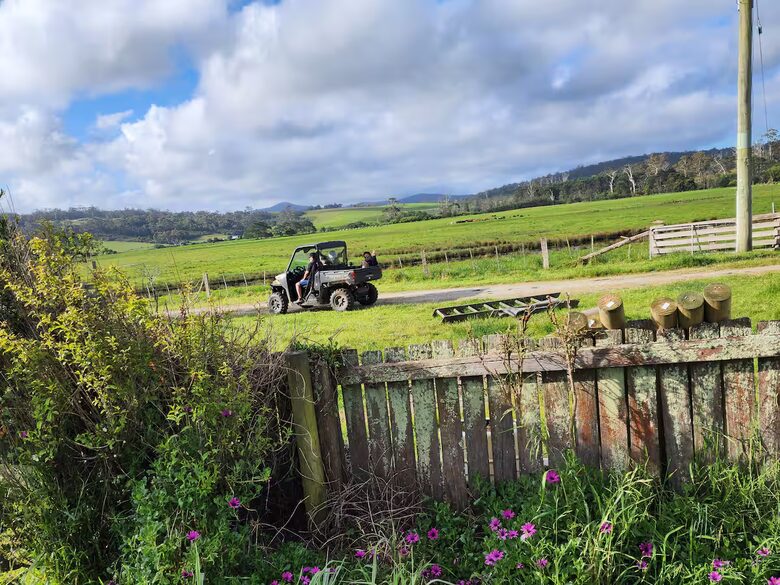 Historic Farmhouse Retreat in St. Helens - St Helens, Australia