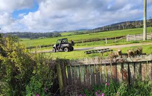 Historic Farmhouse Retreat in St. Helens - St Helens, Australia