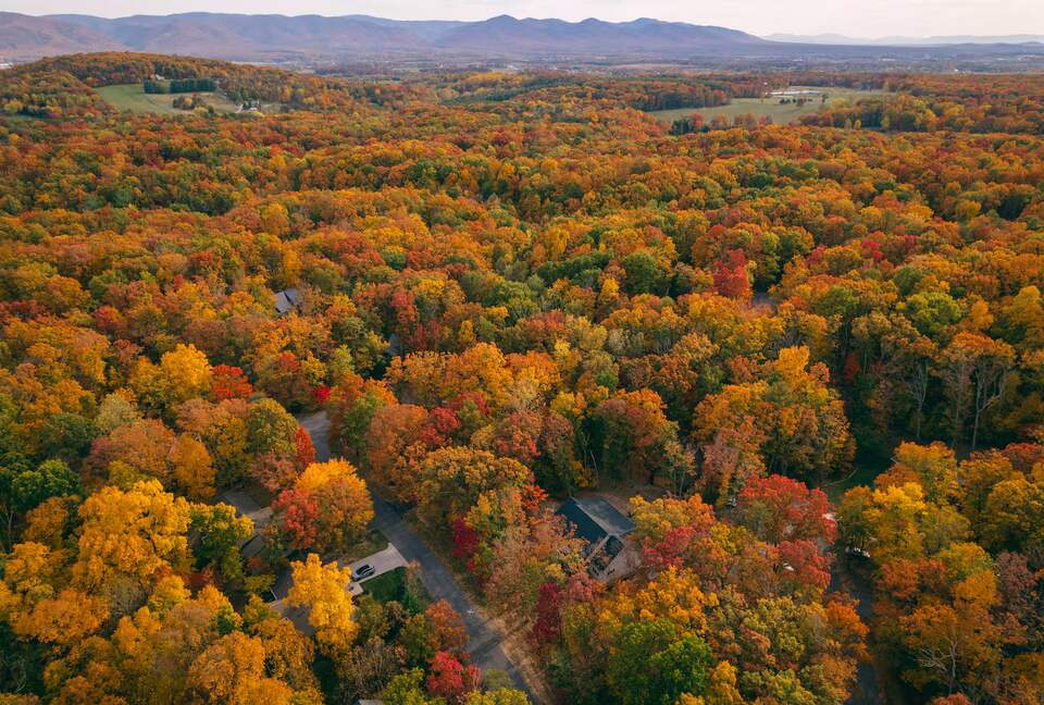 Luxury Mountain Retreat in Massanutten Resort - Massanutten, Virginia